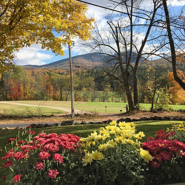 Carter Notch Inn Jackson Exteriör bild